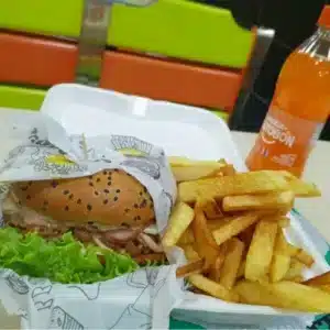 Combo Hamburguesa de Pollo